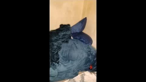 Snapshot of curvylucifinaxxx chatting on January 11, 2026, 5:12 am Lucifina ganja kittens online show from January 11, 2026, 5:12 am