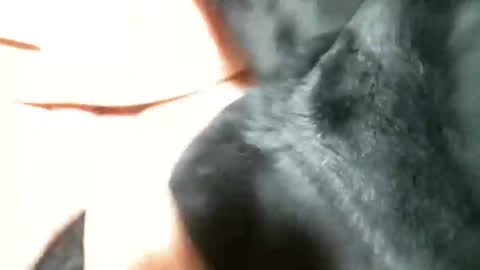 Snapshot of cutandwaxed2 chatting on March 5, 2025, 11:27 pm BI SMOOTH MATURE SUB online show from March 5, 2025, 11:27 pm