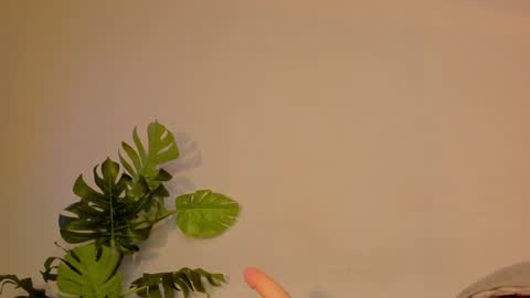 Stacy online show from January 22, 2025, 3:31 am