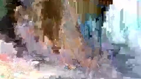 Snapshot of cute_savanna chatting on March 10, 2026, 5:01 am cute_savanna online show from March 10, 2026, 5:01 am