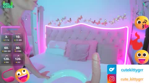 Kitty online show from February 18, 2026, 11:55 pm