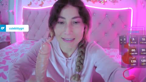 Kitty online show from April 8, 2026, 1:33 pm