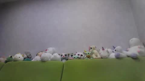Snapshot of cutie_klo_ chatting on October 10, 2025, 12:53 am Chloe online show from October 10, 2025, 12:53 am