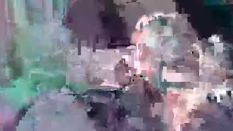 Snapshot of d857813 chatting on January 23, 2025, 5:31 pm B dickkReallyyFck online show from January 23, 2025, 5:31 pm