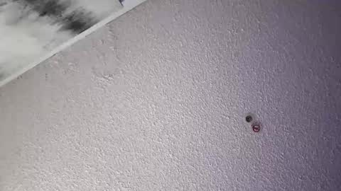 PapiGuerodaddysgirl online show from April 4, 2026, 6:00 am