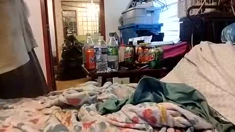 Daddyshome4115 online show from December 13, 2025, 9:20 pm