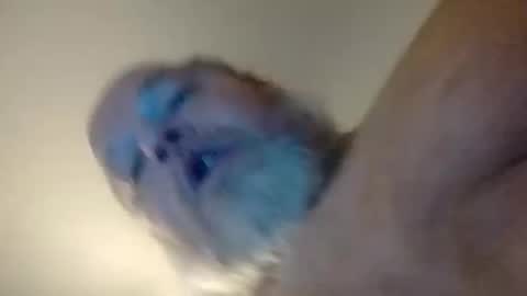 Daddyshome4115 online show from December 20, 2025, 6:42 am