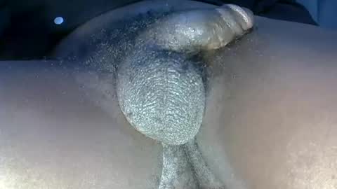 Snapshot of dadyschlong chatting on June 10, 2026, 11:13 pm GIANT Lamar 72 ft tall with a 10 inches BBC hard quick cumshot in private show lets go online show from June 10, 2026, 11:13 pm