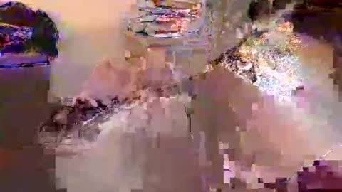 Snapshot of dafo1980 chatting on April 17, 2026, 12:30 pm dafo1980 online show from April 17, 2026, 12:30 pm
