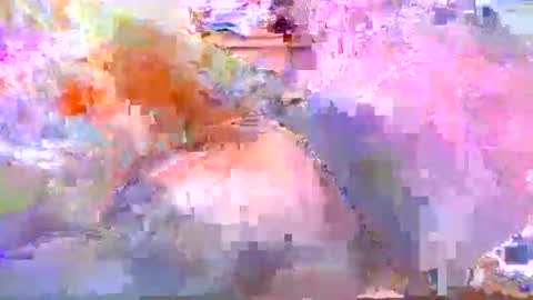 Snapshot of dafo1980 chatting on April 20, 2026, 12:19 pm dafo1980 online show from April 20, 2026, 12:19 pm