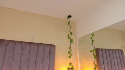 Dahlia online show from March 29, 2026, 8:47 am