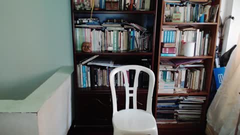 JamesDali online show from February 8, 2025, 11:33 am