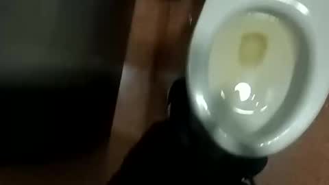 damian950 online show from April 12, 2026, 1:43 am