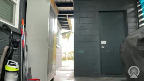 Snapshot of damnimhandsome25 chatting on November 9, 2025, 6:28 pm Clyde online show from November 9, 2025, 6:28 pm