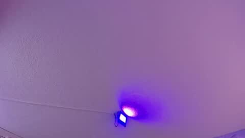 Daniela online show from March 11, 2025, 10:51 am