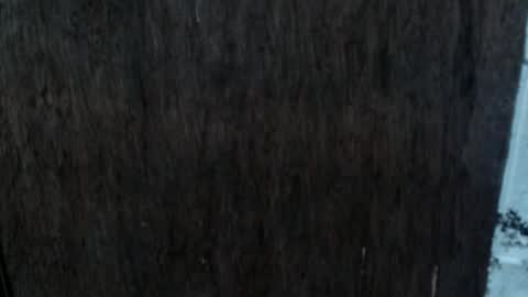 Snapshot of dangerouscock69_nica chatting on October 2, 2025, 8:54 am Nica online show from October 2, 2025, 8:54 am
