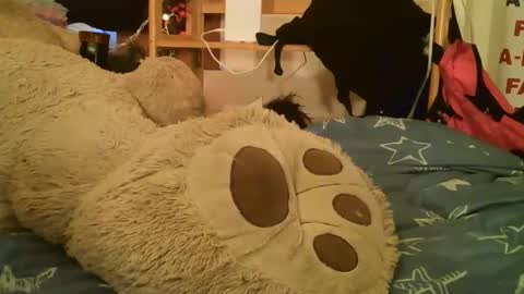 DANIELA online show from March 17, 2026, 2:42 pm