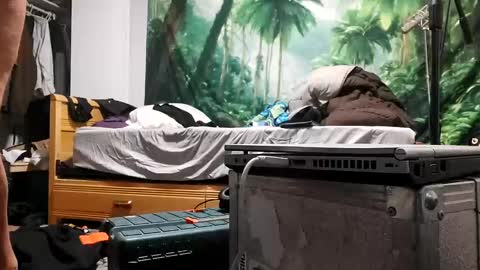 Snapshot of danimal5000 chatting on September 17, 2025, 3:19 am danimal5000 online show from September 17, 2025, 3:19 am