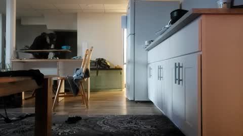 Snapshot of danimal5000 chatting on November 12, 2025, 4:18 pm danimal5000 online show from November 12, 2025, 4:18 pm