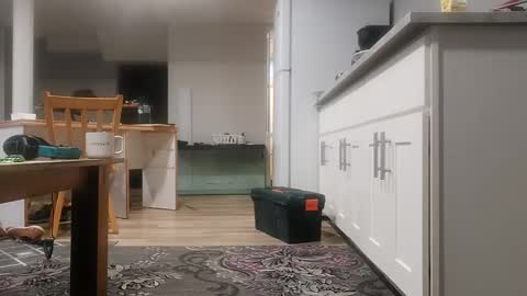 Snapshot of danimal5000 chatting on November 18, 2025, 4:00 pm danimal5000 online show from November 18, 2025, 4:00 pm