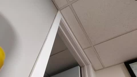 Snapshot of danimal5000 chatting on March 5, 2026, 7:10 pm danimal5000 online show from March 5, 2026, 7:10 pm