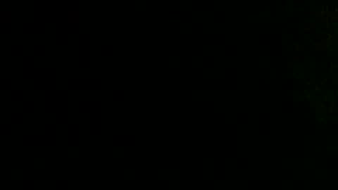 Snapshot of dankshepp chatting on October 2, 2025, 10:00 am dandeb online show from October 2, 2025, 10:00 am