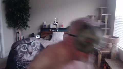 Danny bear online show from December 22, 2024, 3:00 pm