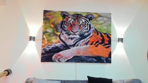 DANTE online show from December 28, 2024, 3:15 am