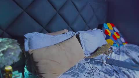 Dany online show from January 17, 2026, 6:11 pm