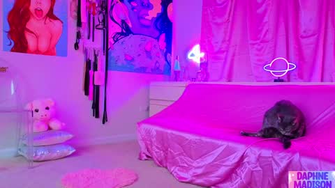 Snapshot of daphnemadison chatting on February 10, 2026, 10:14 pm Daphne Madison online show from February 10, 2026, 10:14 pm