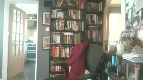 Darcy online show from March 26, 2026, 3:17 pm