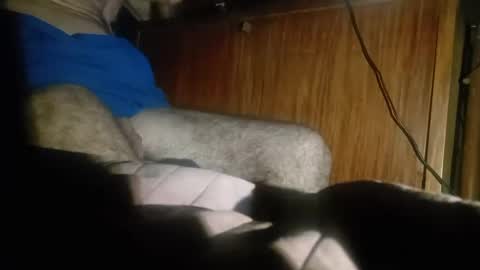 Snapshot of dario48 chatting on December 20, 2024, 3:47 am dario48 online show from December 20, 2024, 3:47 am