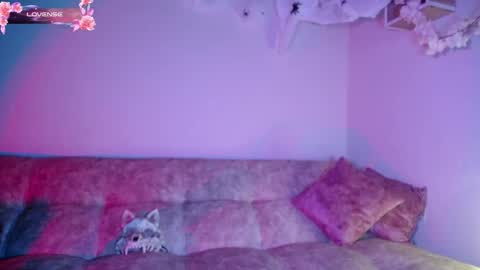 Dark online show from October 30, 2025, 11:44 am