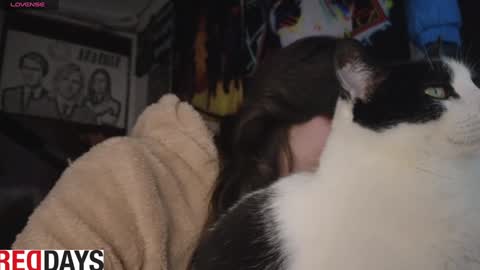 Darkness online show from January 22, 2025, 10:59 pm