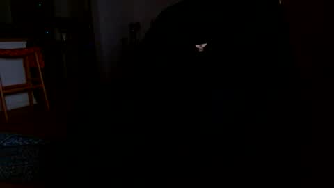 datyo1234 online show from March 17, 2026, 5:22 am