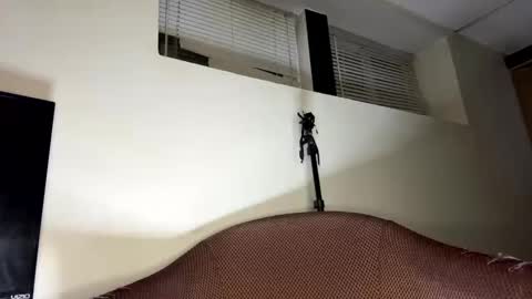 dave875126 online show from April 21, 2026, 1:53 am