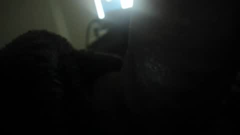 david089613 online show from January 13, 2026, 7:08 pm