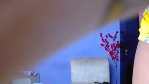 Noha online show from September 13, 2025, 4:56 am