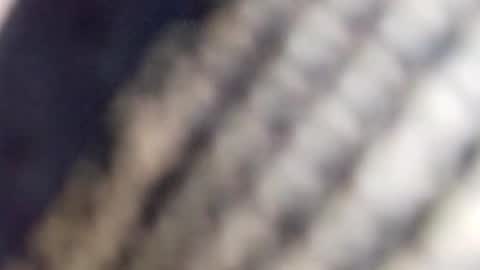 david_stone1969 online show from January 23, 2025, 1:56 pm