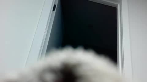 Davvyd online show from September 18, 2025, 4:31 pm