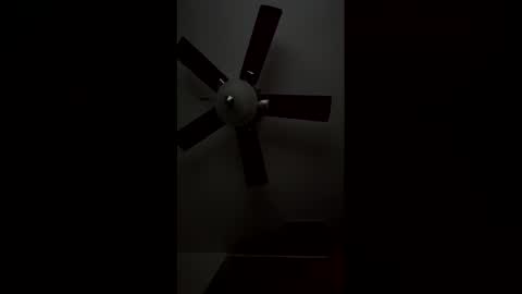 dayday724770 online show from April 4, 2026, 7:00 pm