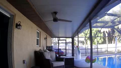 Dazey online show from January 7, 2026, 8:55 pm