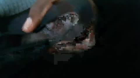 Snapshot of dbizzlenyc chatting on February 1, 2025, 9:19 pm dbizzlenyc online show from February 1, 2025, 9:19 pm