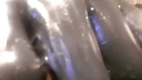 ddick0303 online show from November 14, 2025, 4:00 am