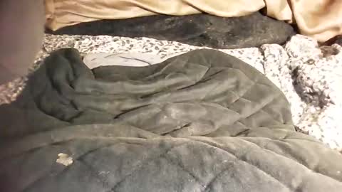 ddick0303 online show from March 6, 2026, 12:01 pm