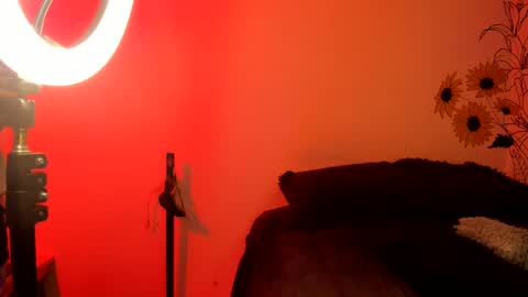 Snapshot of dear_venus chatting on December 4, 2024, 2:31 am venus adam online show from December 4, 2024, 2:31 am