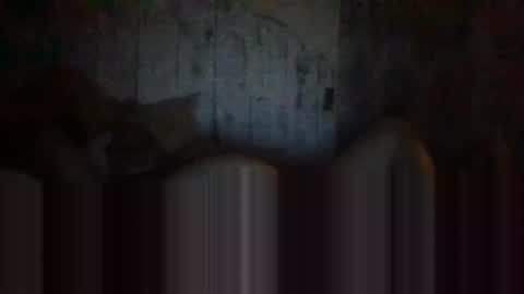 deepdiveme online show from April 15, 2026, 4:08 am