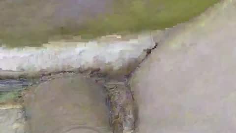 Snapshot of deepdiver3366 chatting on November 2, 2025, 2:08 pm Dive Deep online show from November 2, 2025, 2:08 pm