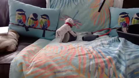 Snapshot of deeperjohnny chatting on October 21, 2025, 3:35 pm deeperjohnny online show from October 21, 2025, 3:35 pm