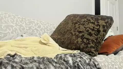 Deez Nutz online show from February 24, 2025, 5:33 am